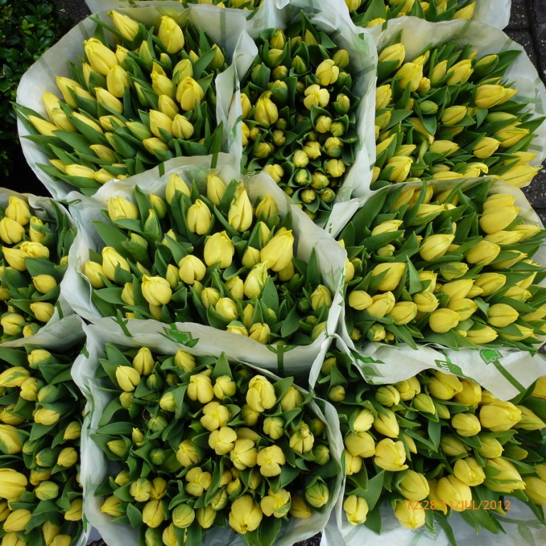 Los 10 mejores blogs de jardinería de 2016 - Los secretos de nuestro